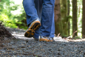 tennis shoes of hikers on heavily wooded gravel trail with sunlight shimmering on rocks and brush