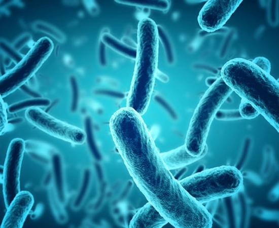 Scientists want to reanimate 830-million-year-old microorganisms. Source: Paulista / Adobe Stock