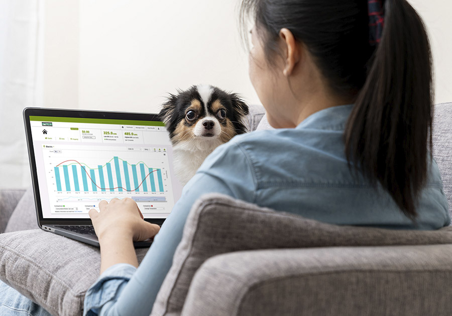 Woman on laptop using MySnoPUD