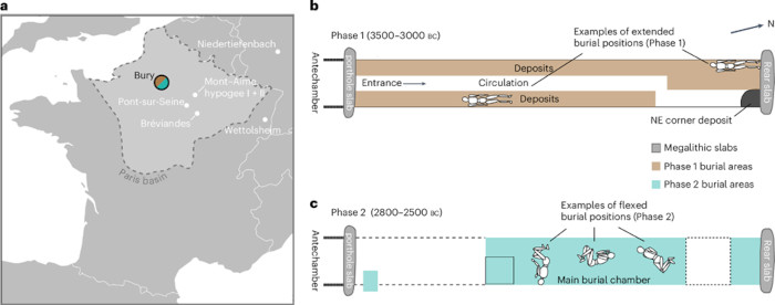 Infographic: Left, Location of Bury and similar sites with genetic data available. b, Diagram of the Bury grave 