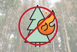 No wildfire icon atop image of dry forest