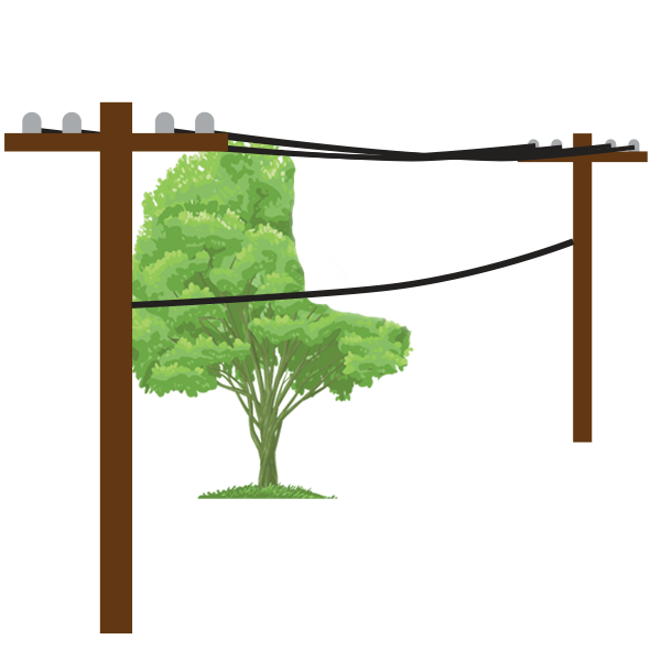 Trim to specs (AFTER)